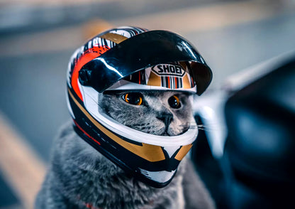 Pet Helmets,Cat Helmet,Dog Helmet-Outdoor Mini Head Protecting Safe Hat,Motorcycle Helmet Decorative,Pet Photo Props Accessorie